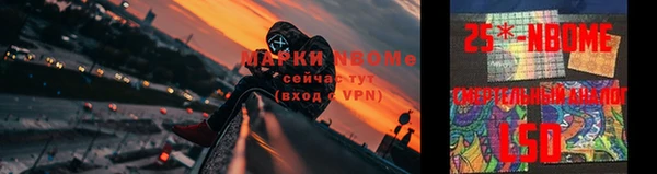 шишки Алексин