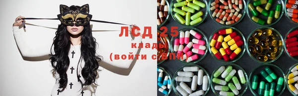 гидропоника Алзамай