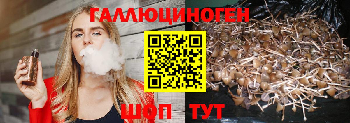 Белгород  Галлюциногенные грибы Psilocybe  Галлюциногенные грибы ЛСД  Вход с VPN 